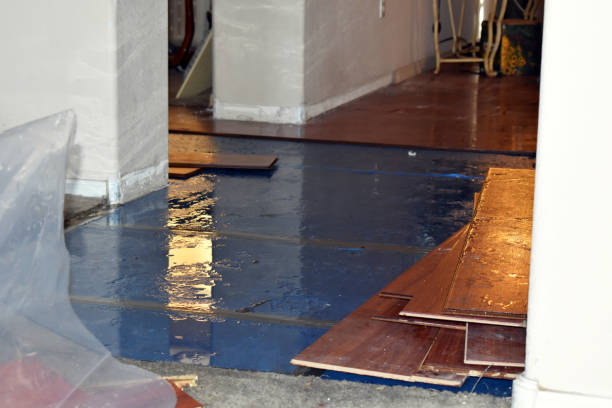 Professional Burst Pipe Cleanup technician working in Orcas, WA